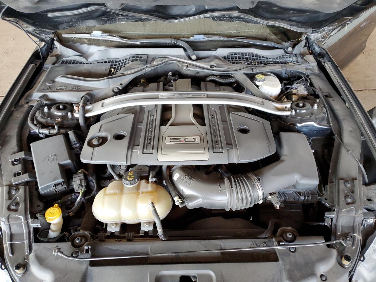 2019 Ford Mustang Gt VIN: 1FA6P8CF2K5202614 Lot: 92906985