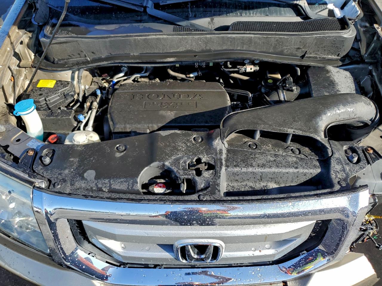 2011 Honda Pilot Exl VIN: 5FNYF4H59BB061134 Lot: 93365285