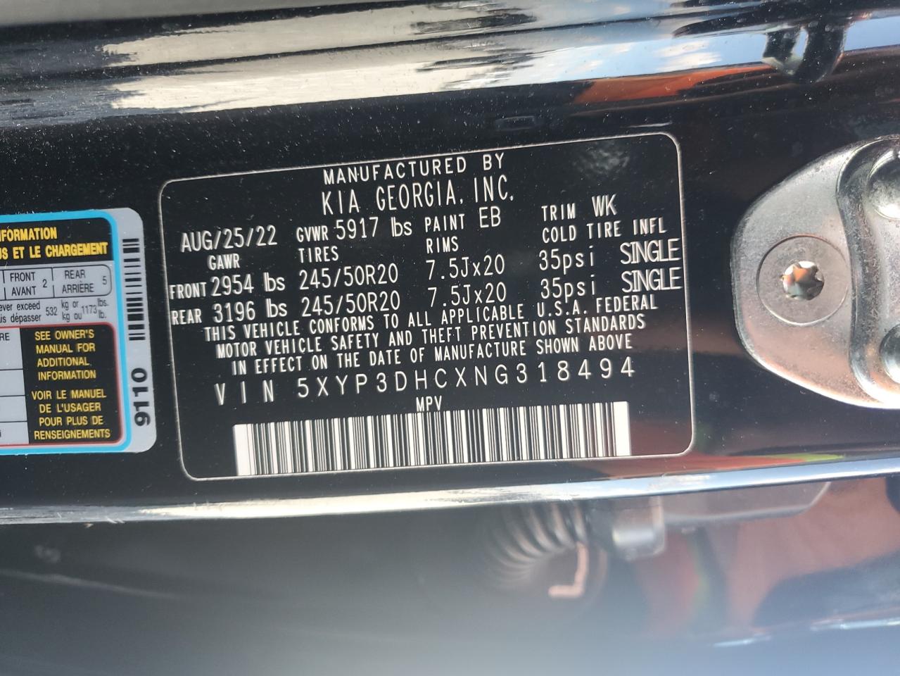 2022 Kia Telluride Ex VIN: 5XYP3DHCXNG318494 Lot: 93072695