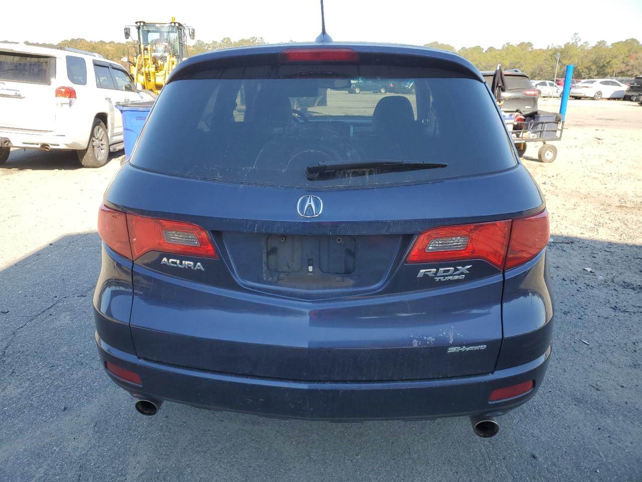 2009 Acura Rdx VIN: 5J8TB18219A000262 Lot: 93486505