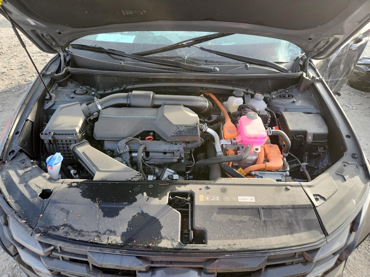 2025 Hyundai Tucson Sel Convenience VIN: KM8JCDD14SU293088 Lot: 92007745