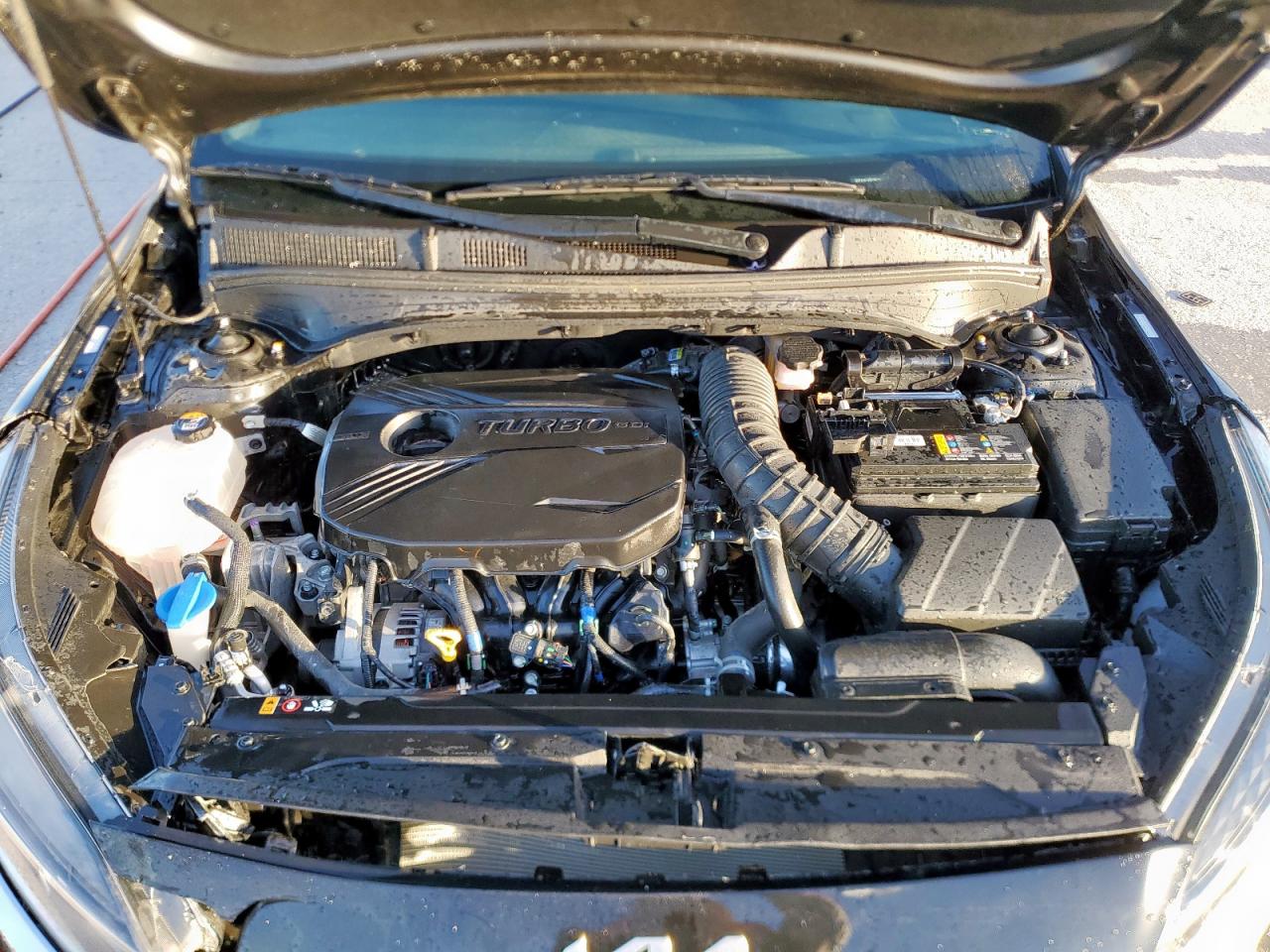 2023 Kia Forte Gt VIN: 3KPF44AC6PE520221 Lot: 91906125