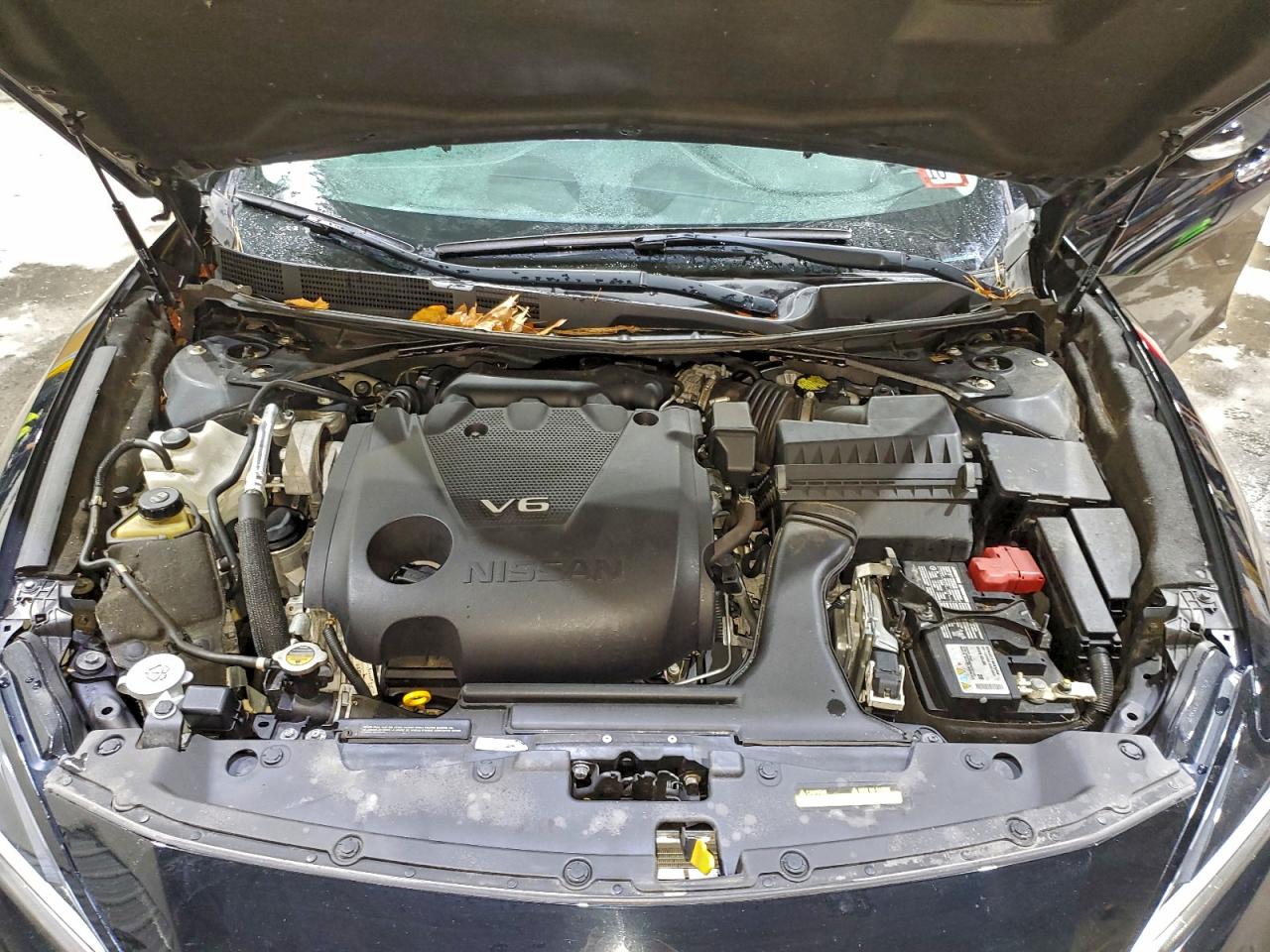 2019 Nissan Maxima S VIN: 1N4AA6AV7KC382923 Lot: 93709575