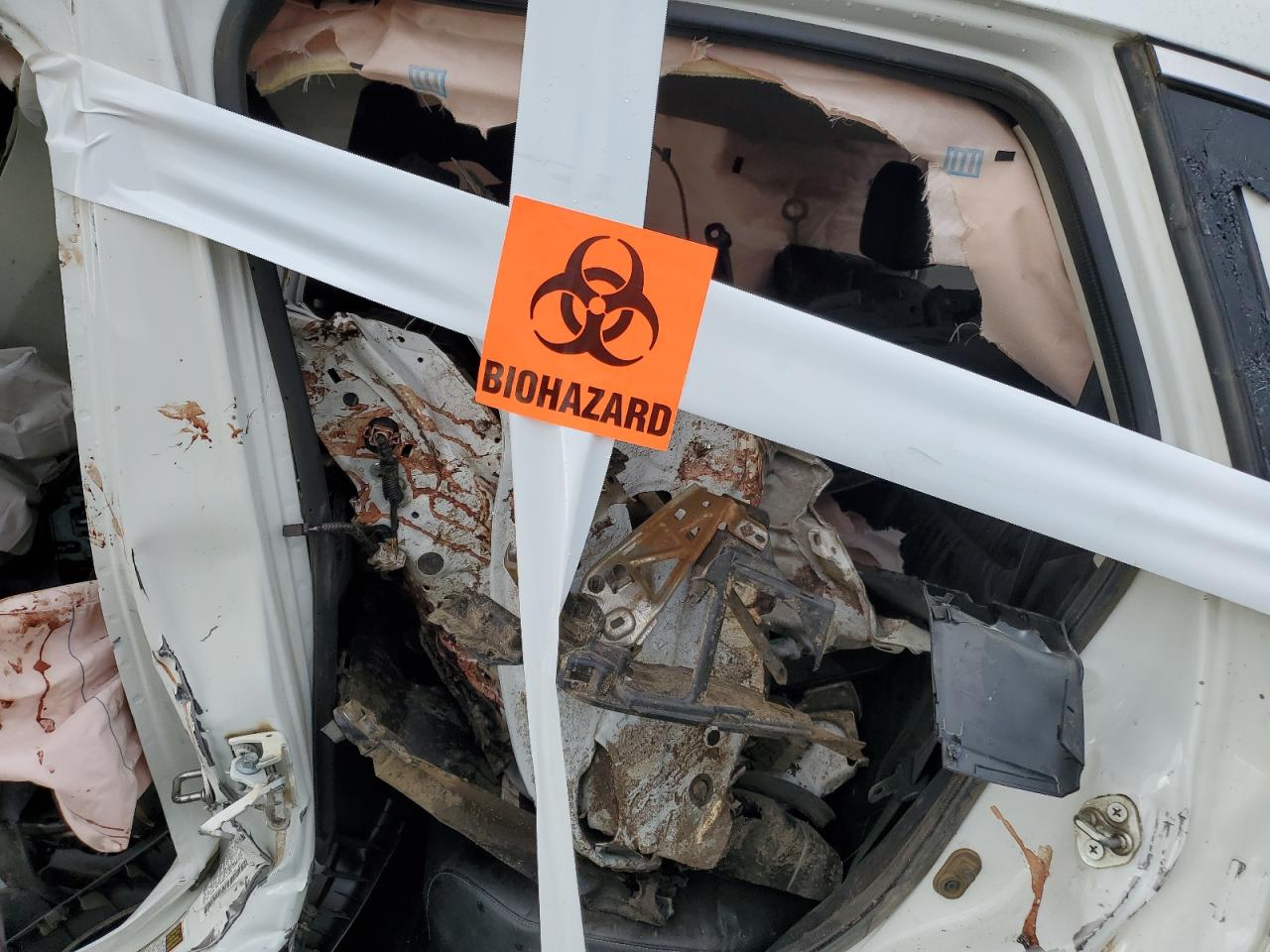 2014 Honda Cr-V Exl VIN: 5J6RM4H76EL067223 Lot: 93080955