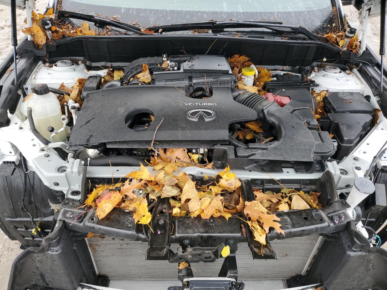 2024 Infiniti Qx55 Essential VIN: 3PCAJ5KR6RF101729 Lot: 92433425