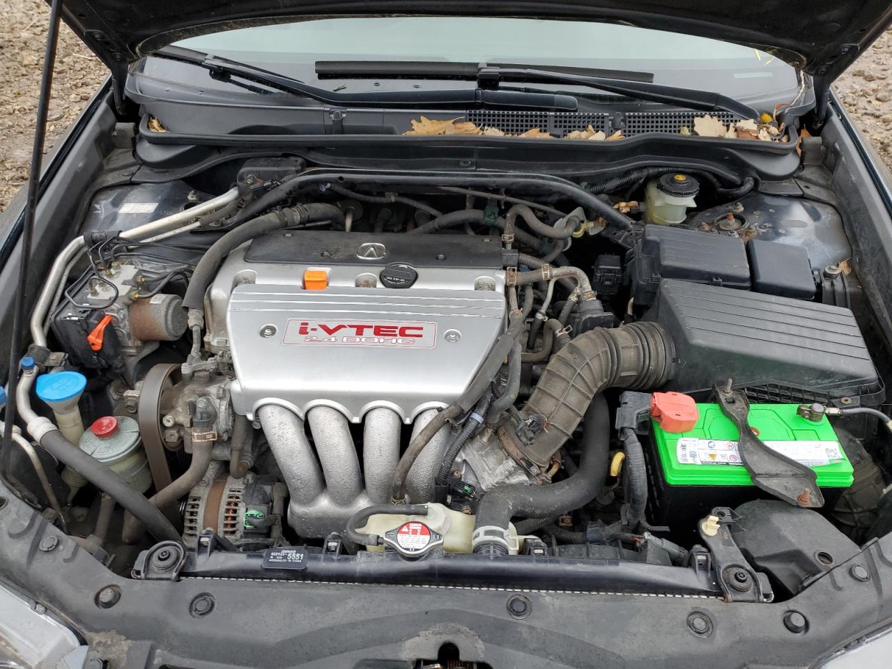 2008 Acura Tsx VIN: JH4CL96938C019066 Lot: 93465525