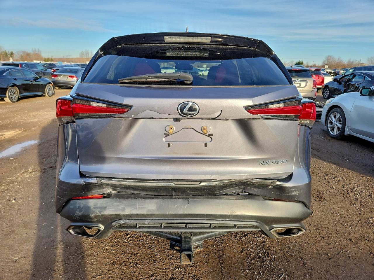 2021 Lexus Nx 300 Base VIN: JTJGARDZ3M2256827 Lot: 94042095