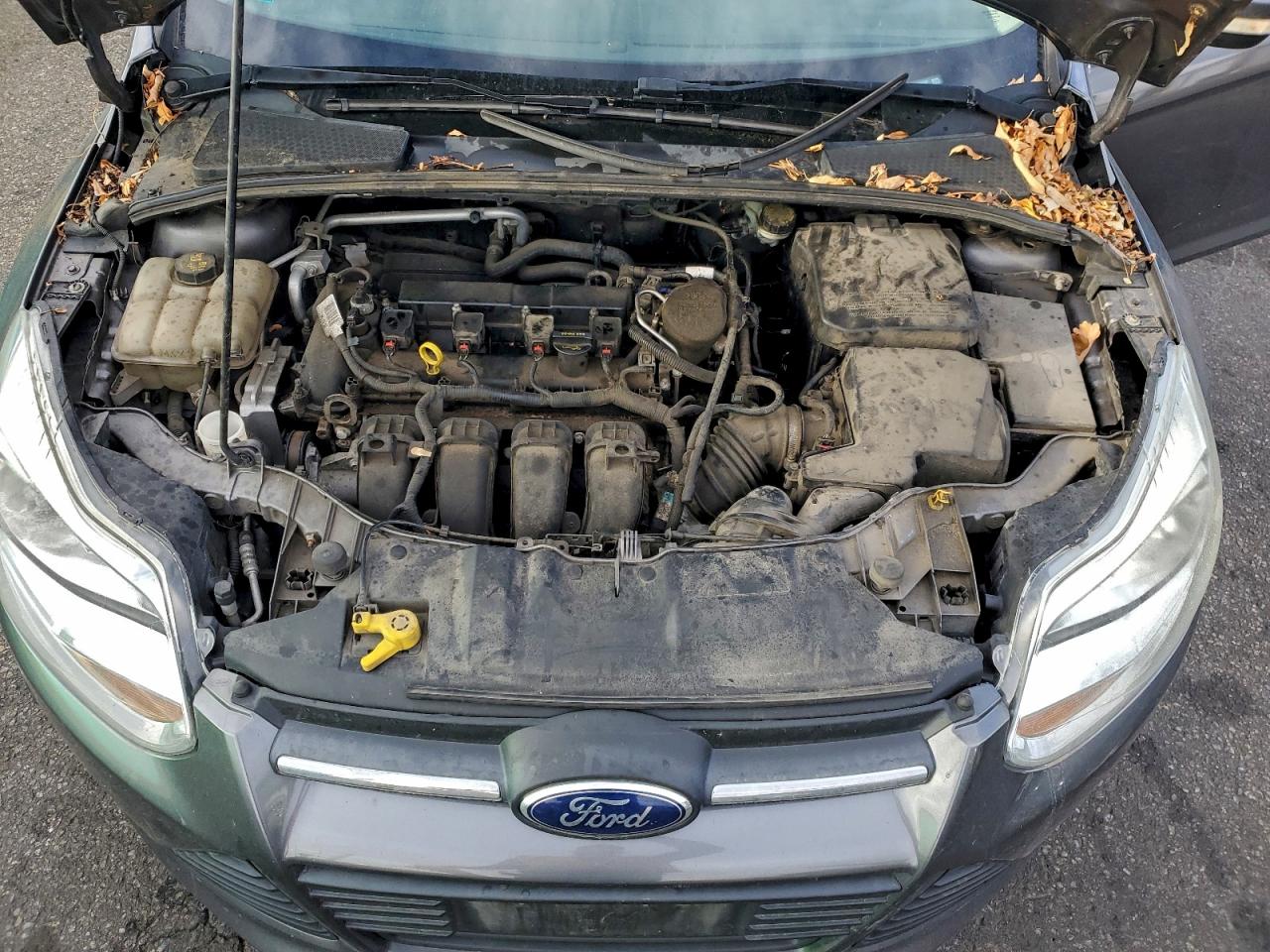 2014 Ford Focus Se VIN: 1FADP3F29EL101797 Lot: 94473915