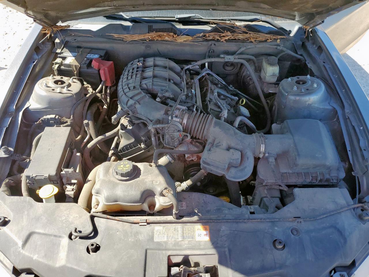 2012 Ford Mustang VIN: 1ZVBP8AM4C5267778 Lot: 90495405