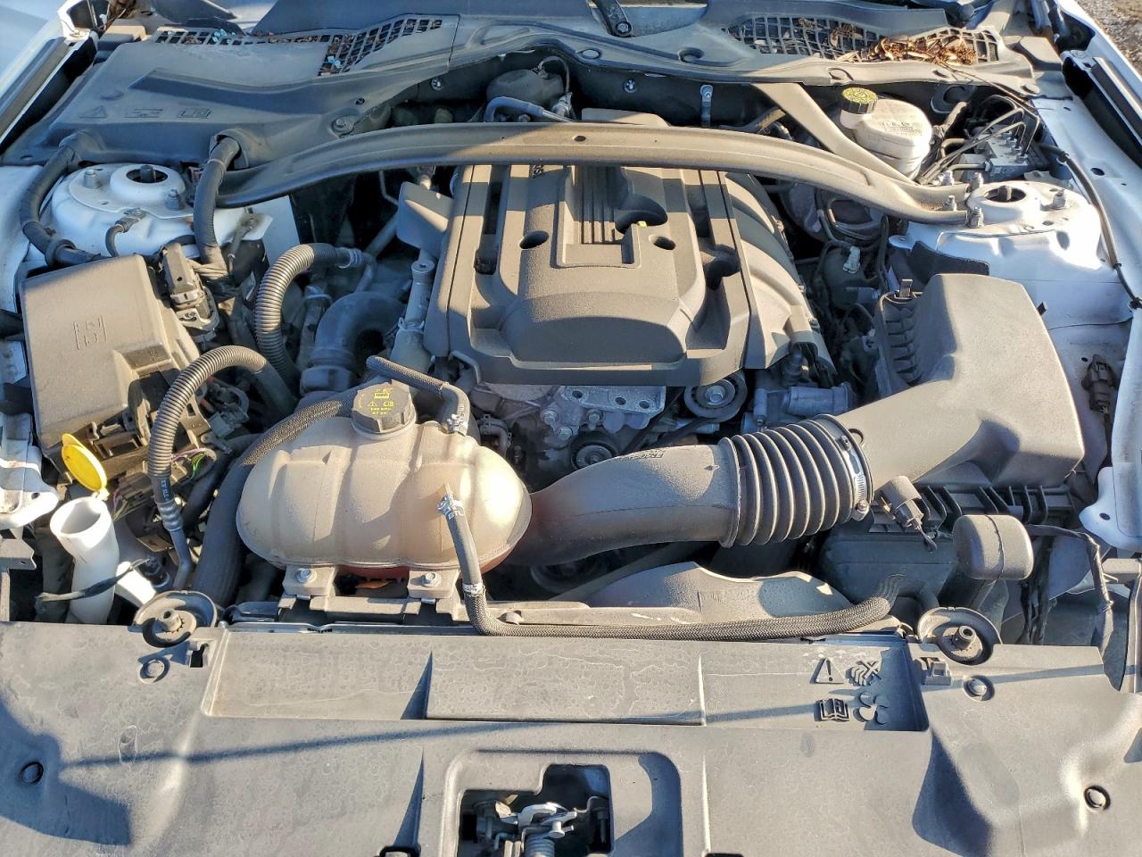 2019 Ford Mustang VIN: 1FA6P8TH5K5168797 Lot: 93355005