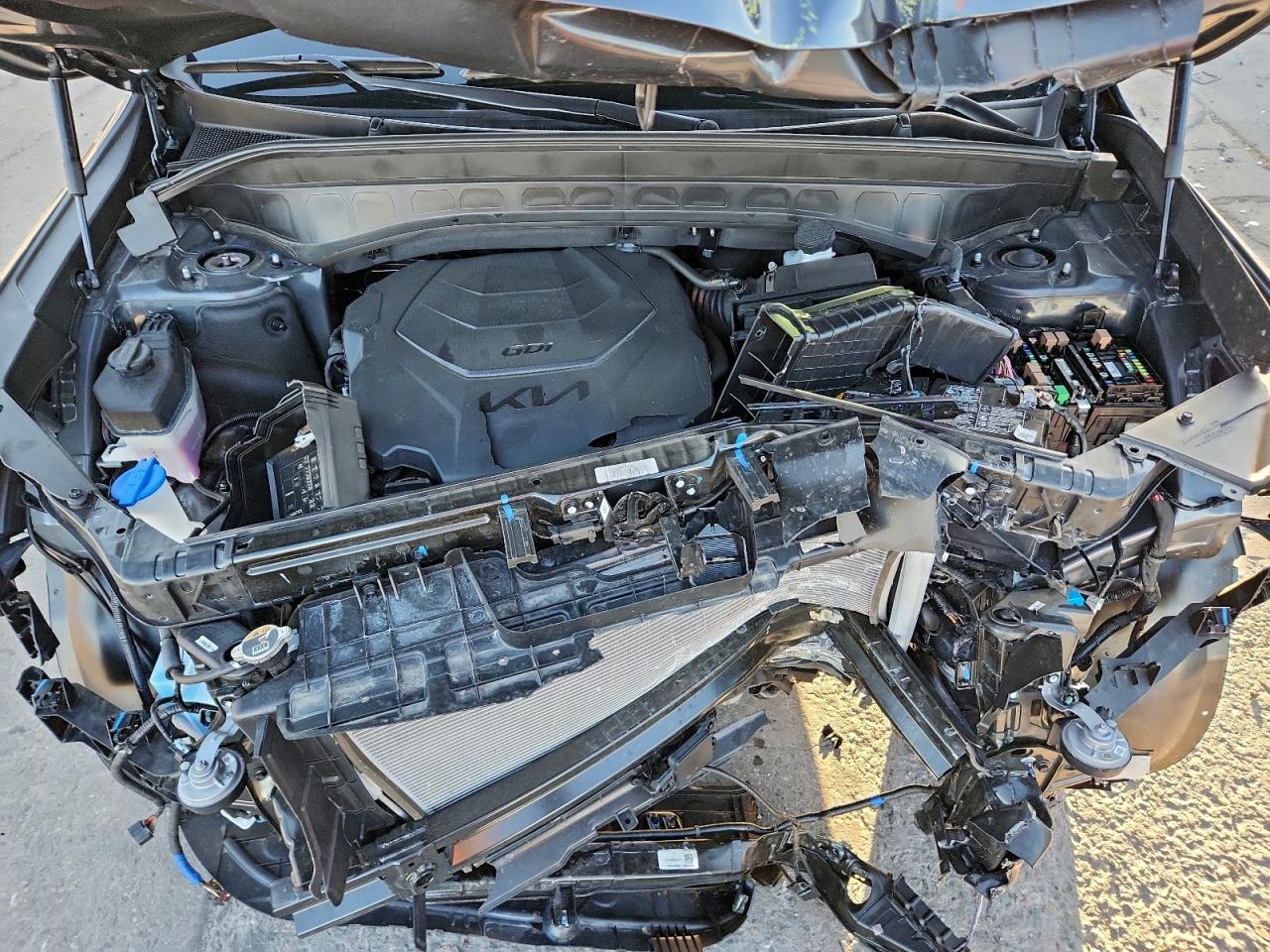 2025 Kia Telluride Sx VIN: 5XYP5DGC0SG623204 Lot: 93884155