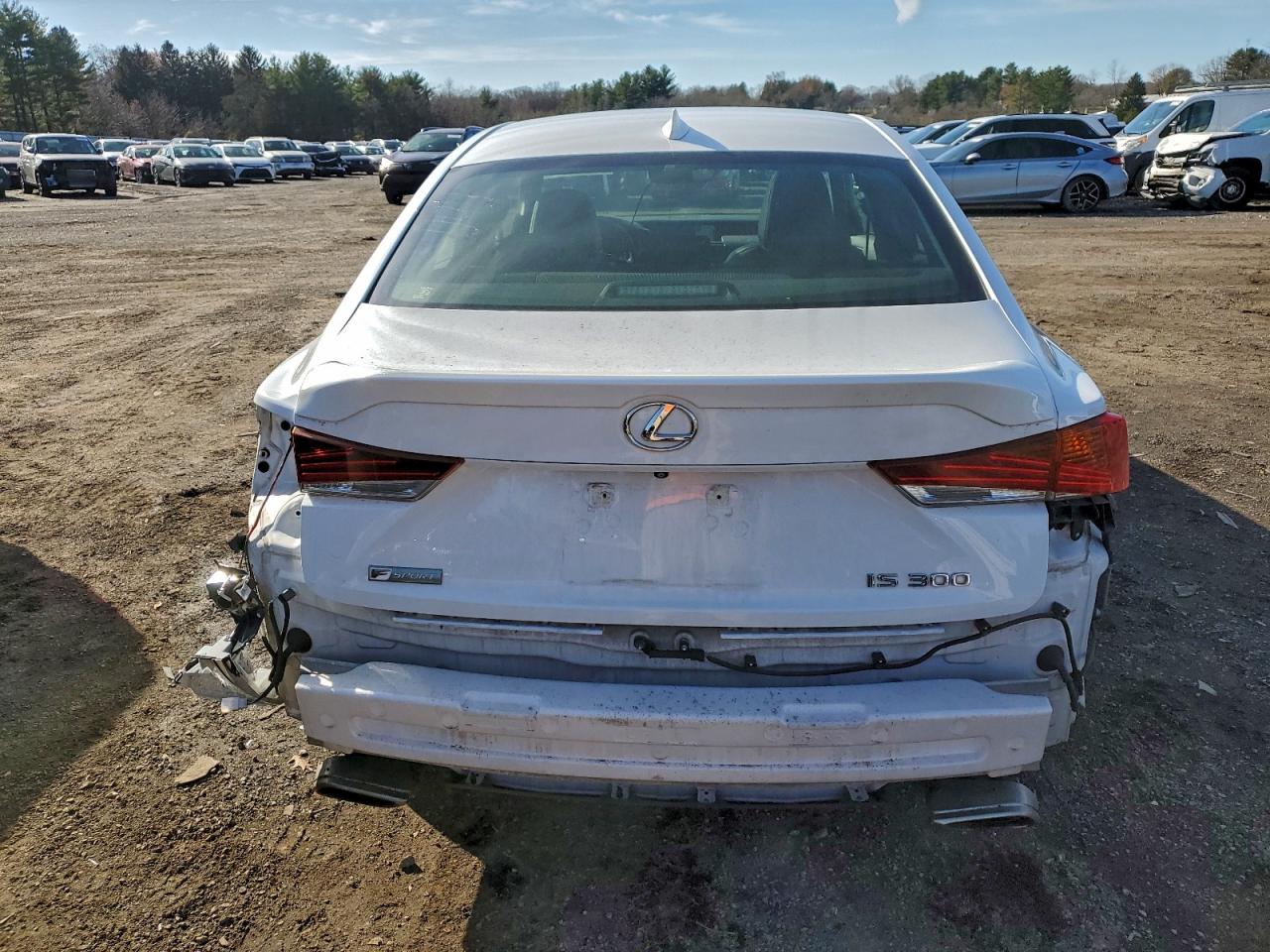 2019 Lexus Is 300 VIN: JTHBA1D23K5087209 Lot: 93887945