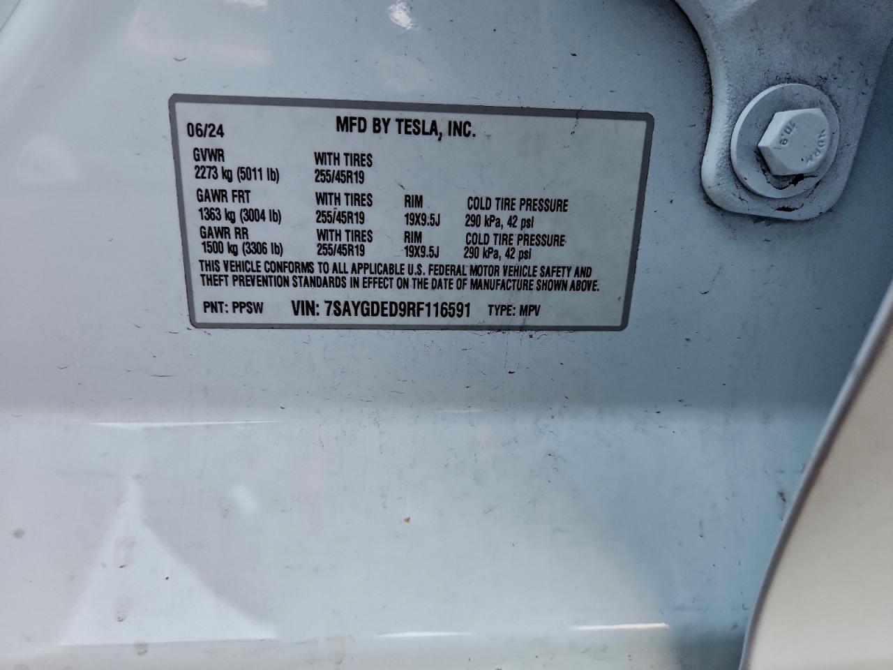 2024 Tesla Model Y VIN: 7SAYGDED9RF116591 Lot: 93519265