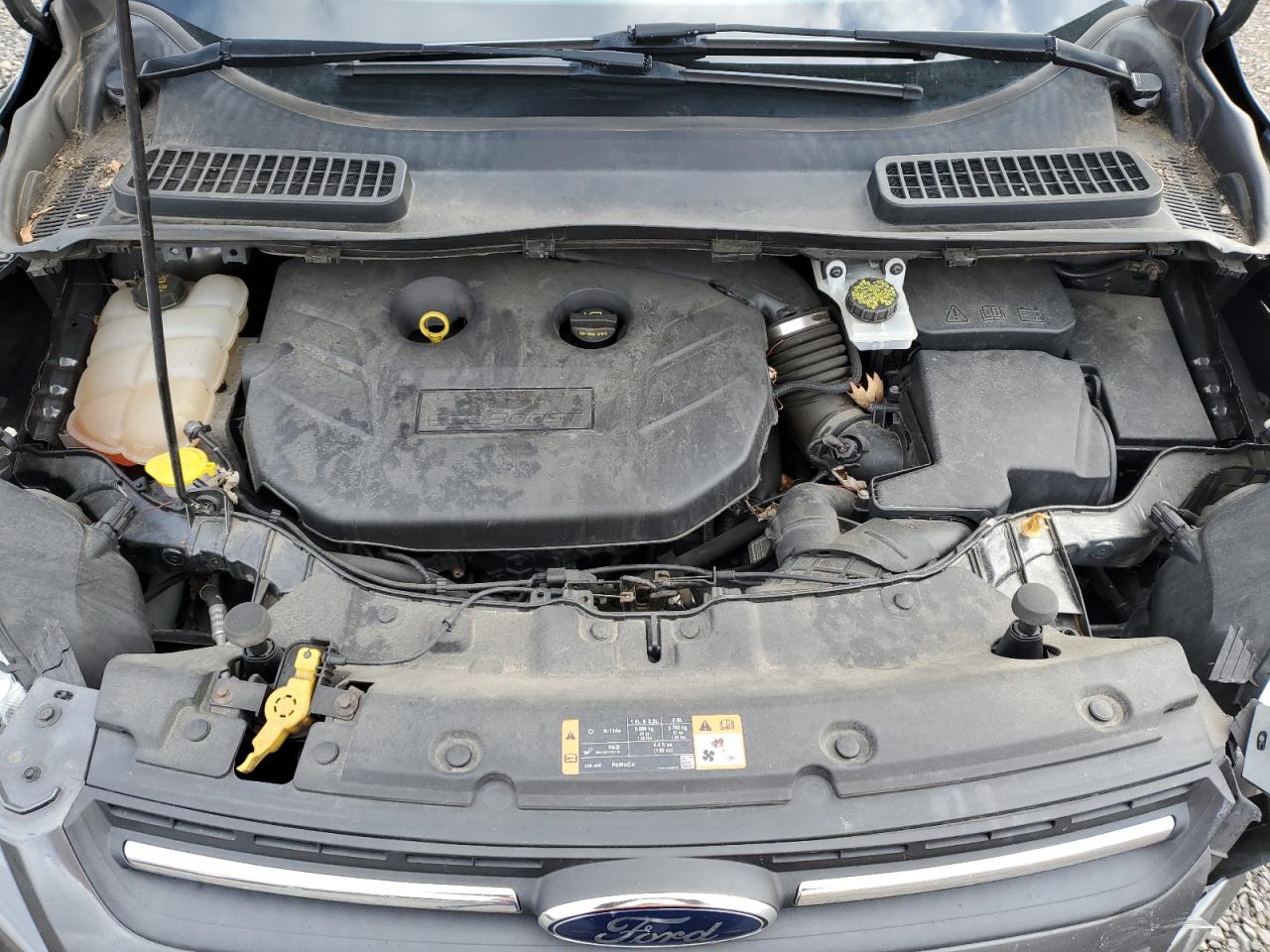 2016 Ford Escape Se VIN: 1FMCU9G96GUA79666 Lot: 92204435