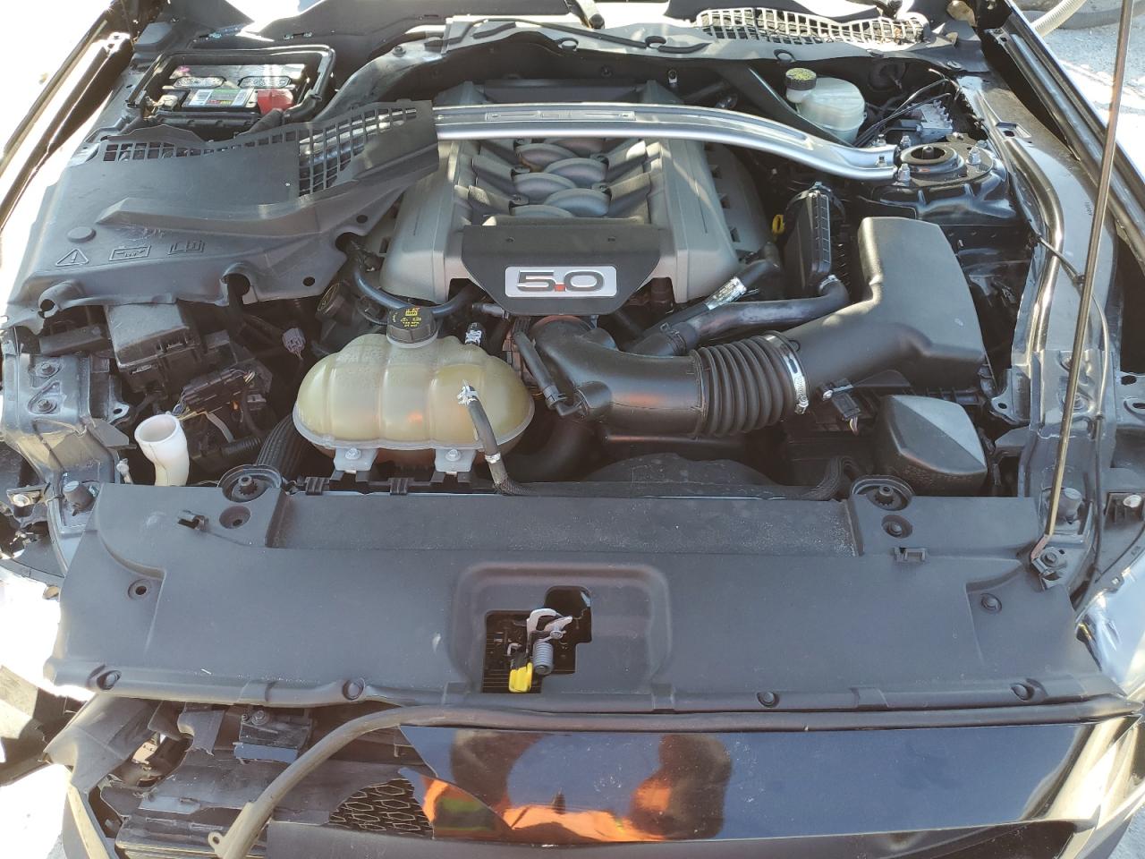 2017 Ford Mustang Gt VIN: 1FA6P8CF3H5230320 Lot: 91086485