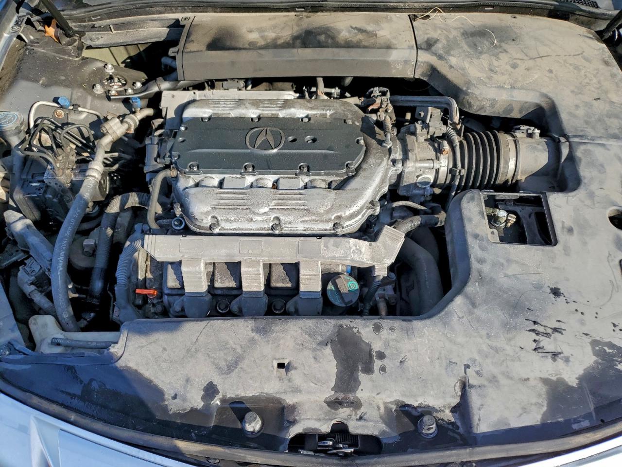 2010 Acura Tl VIN: 19UUA9F55AA000207 Lot: 94087785