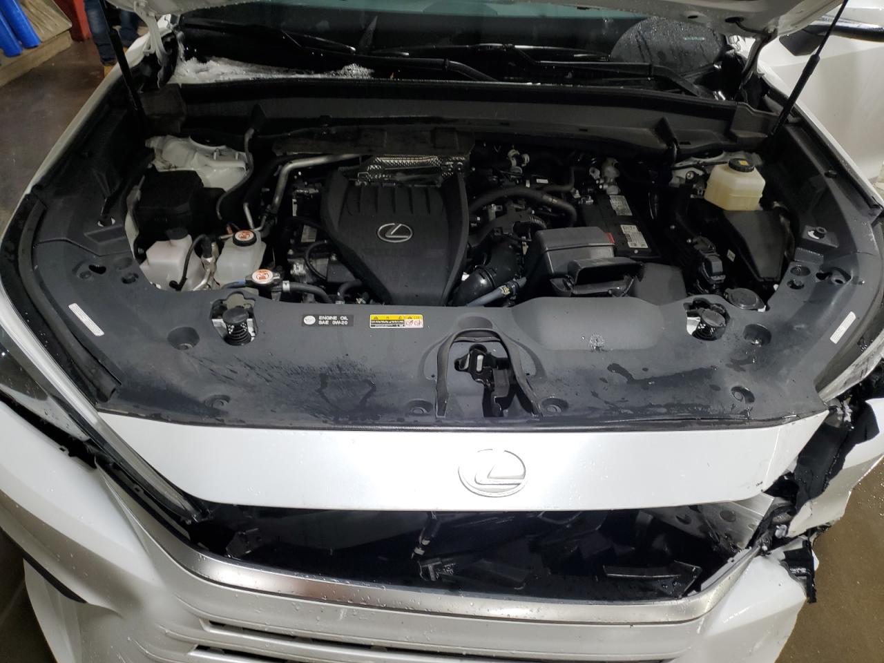 2024 Lexus Tx 350 Base VIN: 5TDAAAB61RS004819 Lot: 92482735