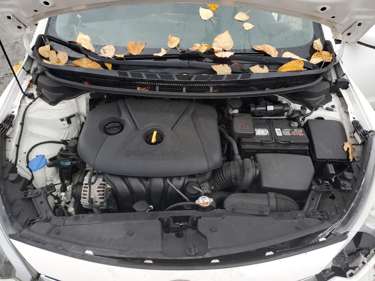 2016 Kia Forte Lx VIN: KNAFK4A64G5449884 Lot: 90862035