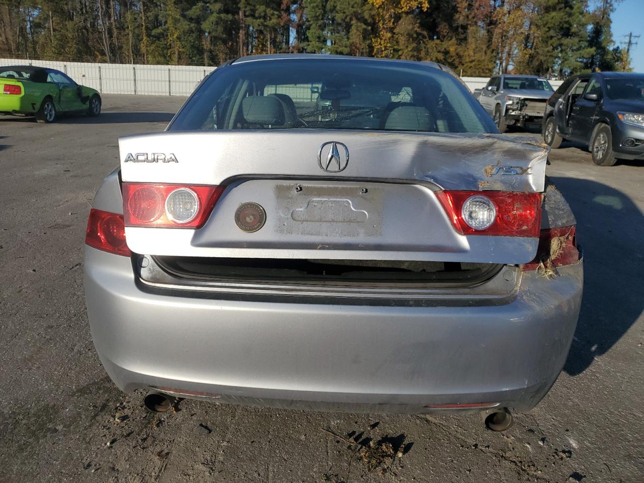2004 Acura Tsx VIN: JH4CL96804C003487 Lot: 92790275