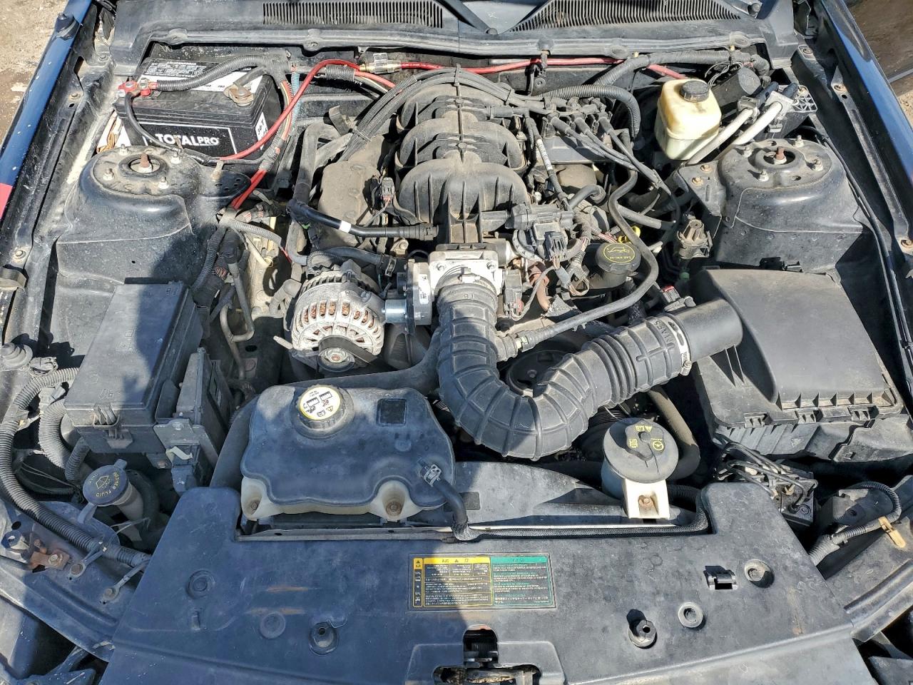 2006 Ford Mustang VIN: 1ZVFT80N665264411 Lot: 93908905