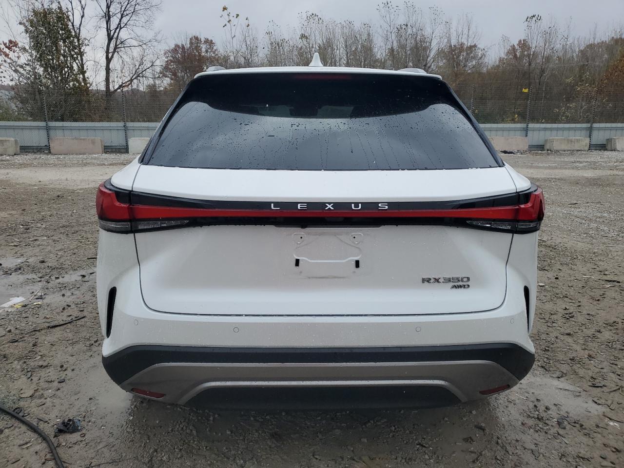 2024 Lexus Rx 350 Base VIN: 2T2BAMCA8RC053934 Lot: 91983045