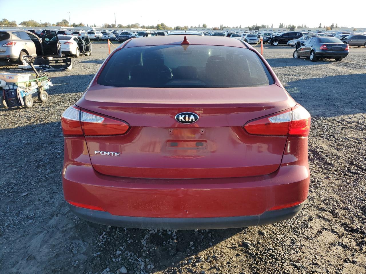 2014 Kia Forte Lx VIN: KNAFX4A68E5238217 Lot: 91445315