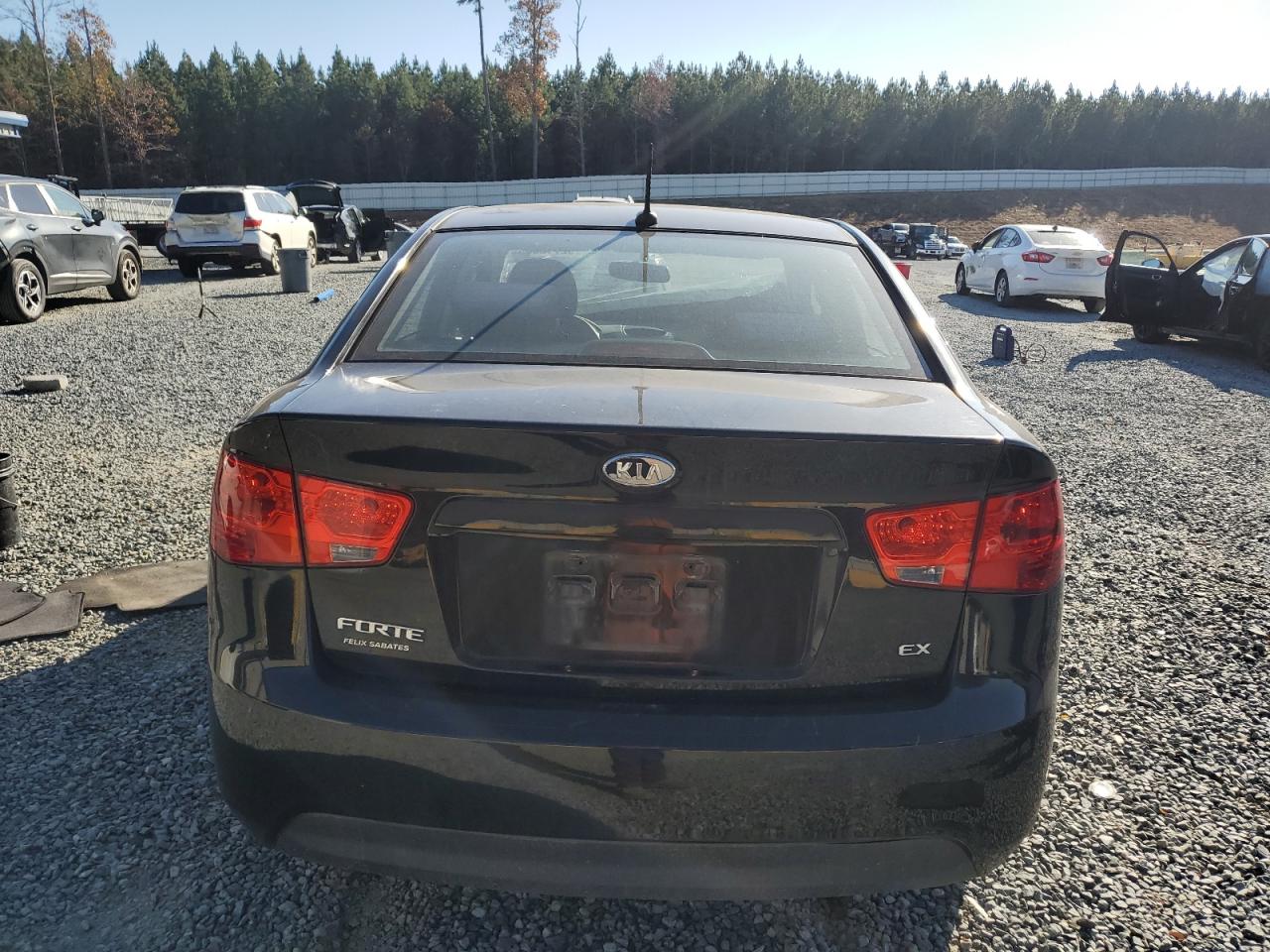 2013 Kia Forte Ex VIN: KNAFU4A22D5672010 Lot: 92710885