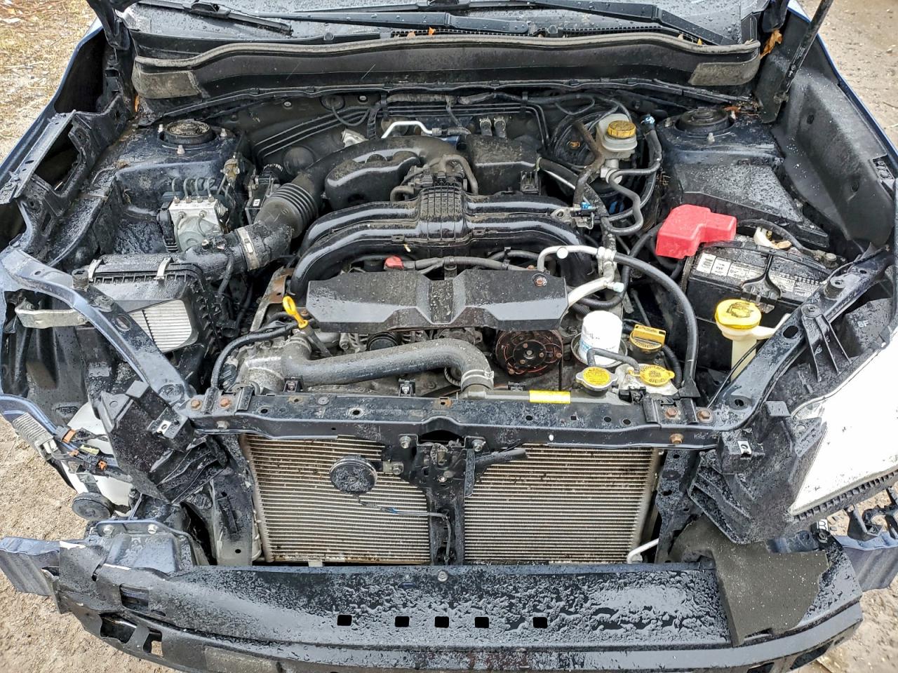 2014 Subaru Forester 2.5I Premium VIN: JF2SJAEC1EH542054 Lot: 94565695