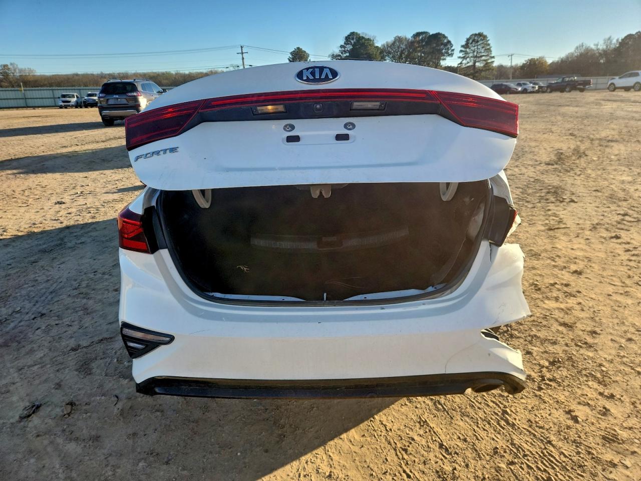 2019 Kia Forte Fe VIN: 3KPF24AD0KE120243 Lot: 94000495
