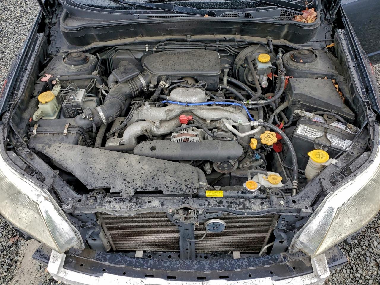 2010 Subaru Forester 2.5X Premium VIN: JF2SH6CC9AH803968 Lot: 94180605