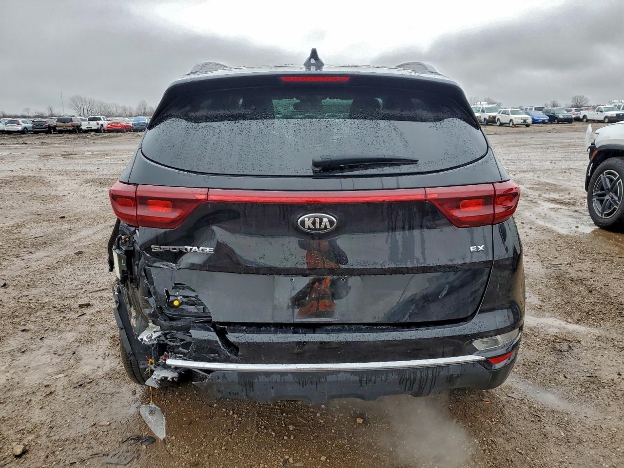 2022 Kia Sportage Ex VIN: KNDPNCAC4N7010023 Lot: 94163185