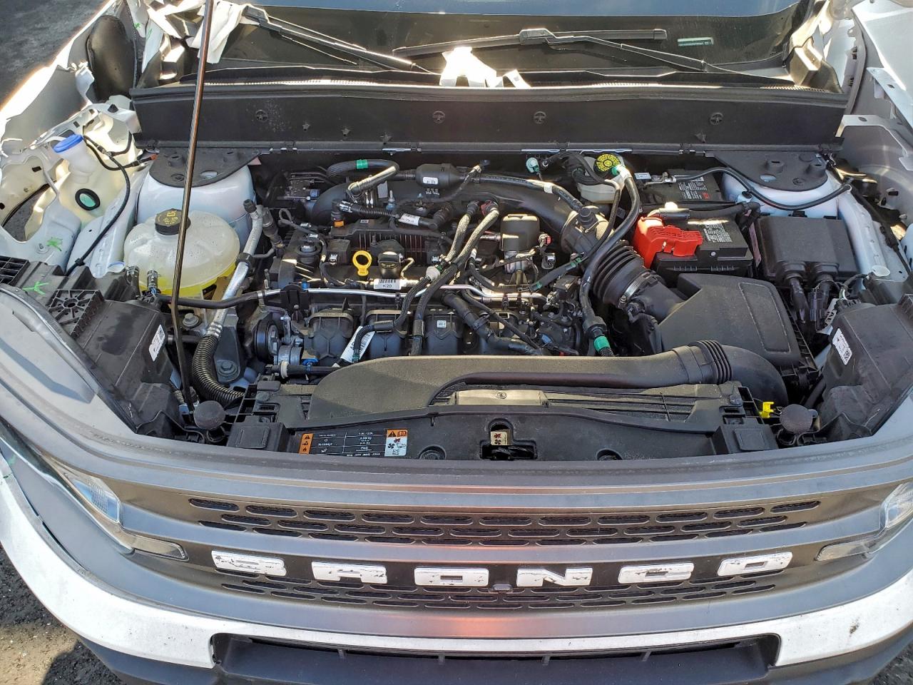 2024 Ford Bronco Sport Badlands VIN: 3FMCR9D98RRF56503 Lot: 94165085