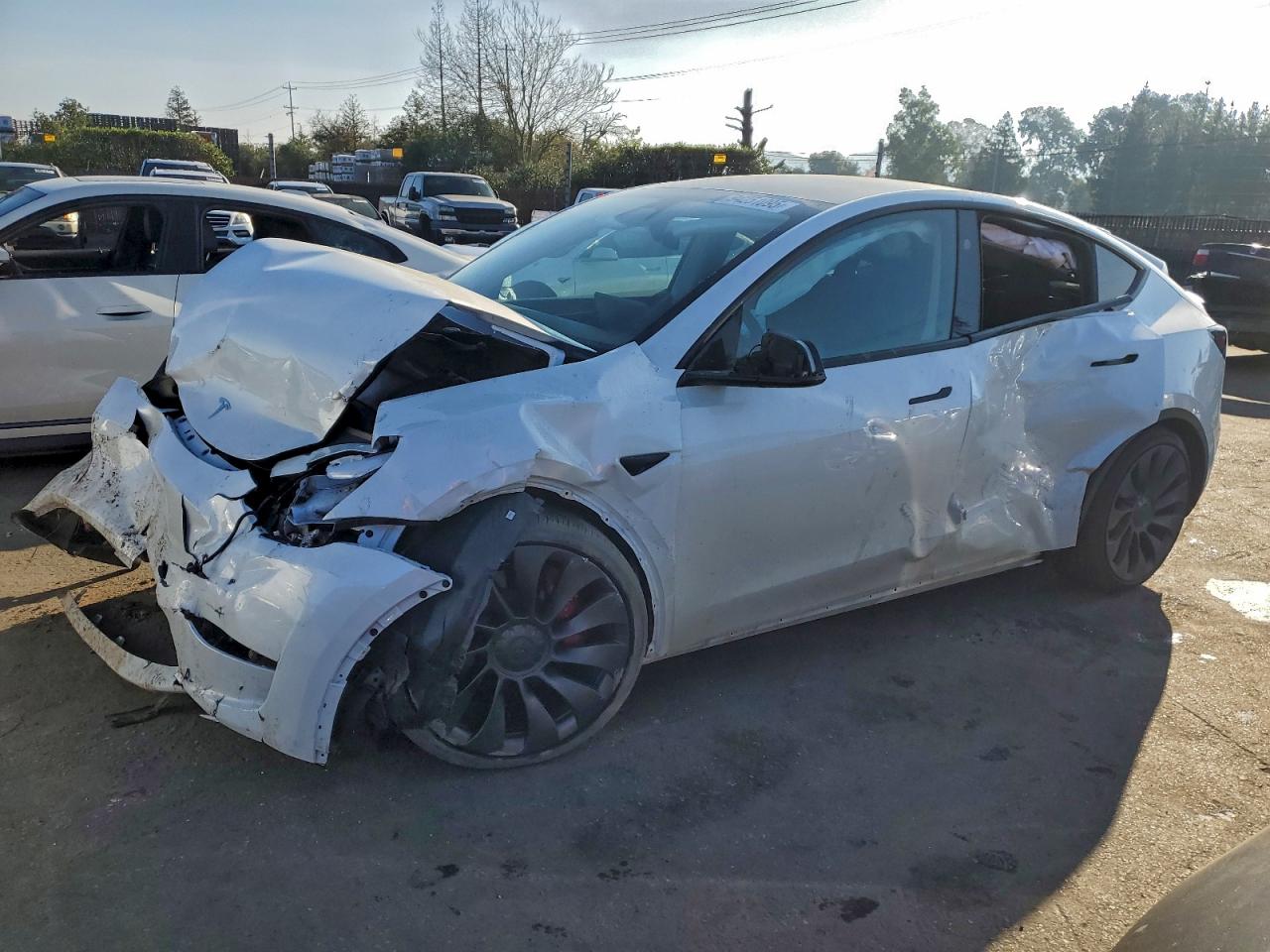 2025 Tesla Model Y VIN: 7SAYGDEFXSF299877 Lot: 94251095