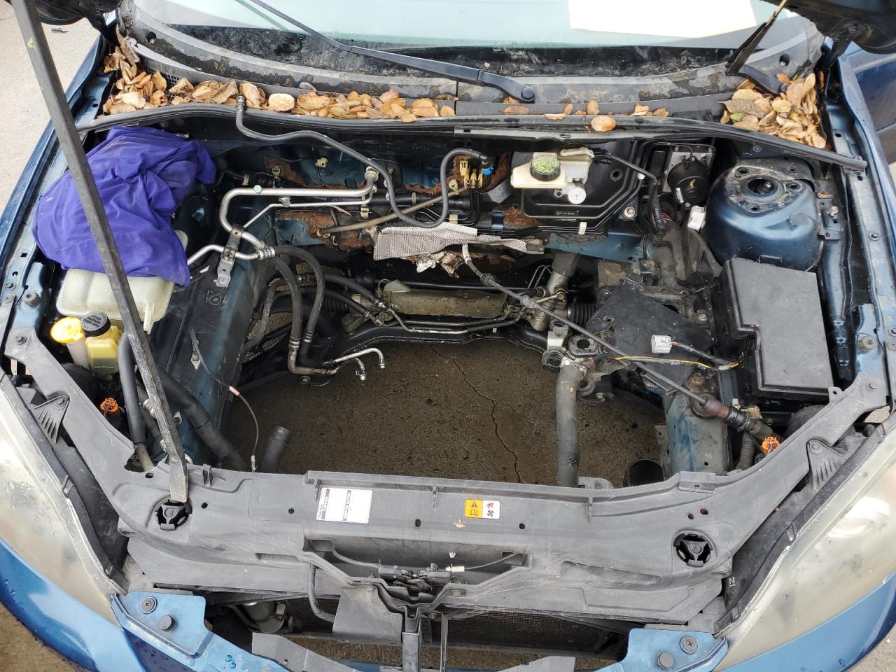 2007 Mazda 3 Hatchback VIN: JM1BK344171769791 Lot: 93691065