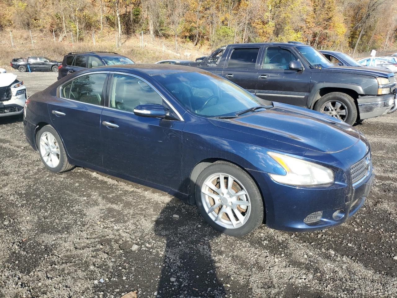 2010 Nissan Maxima S VIN: 1N4AA5AP5AC844860 Lot: 91362925