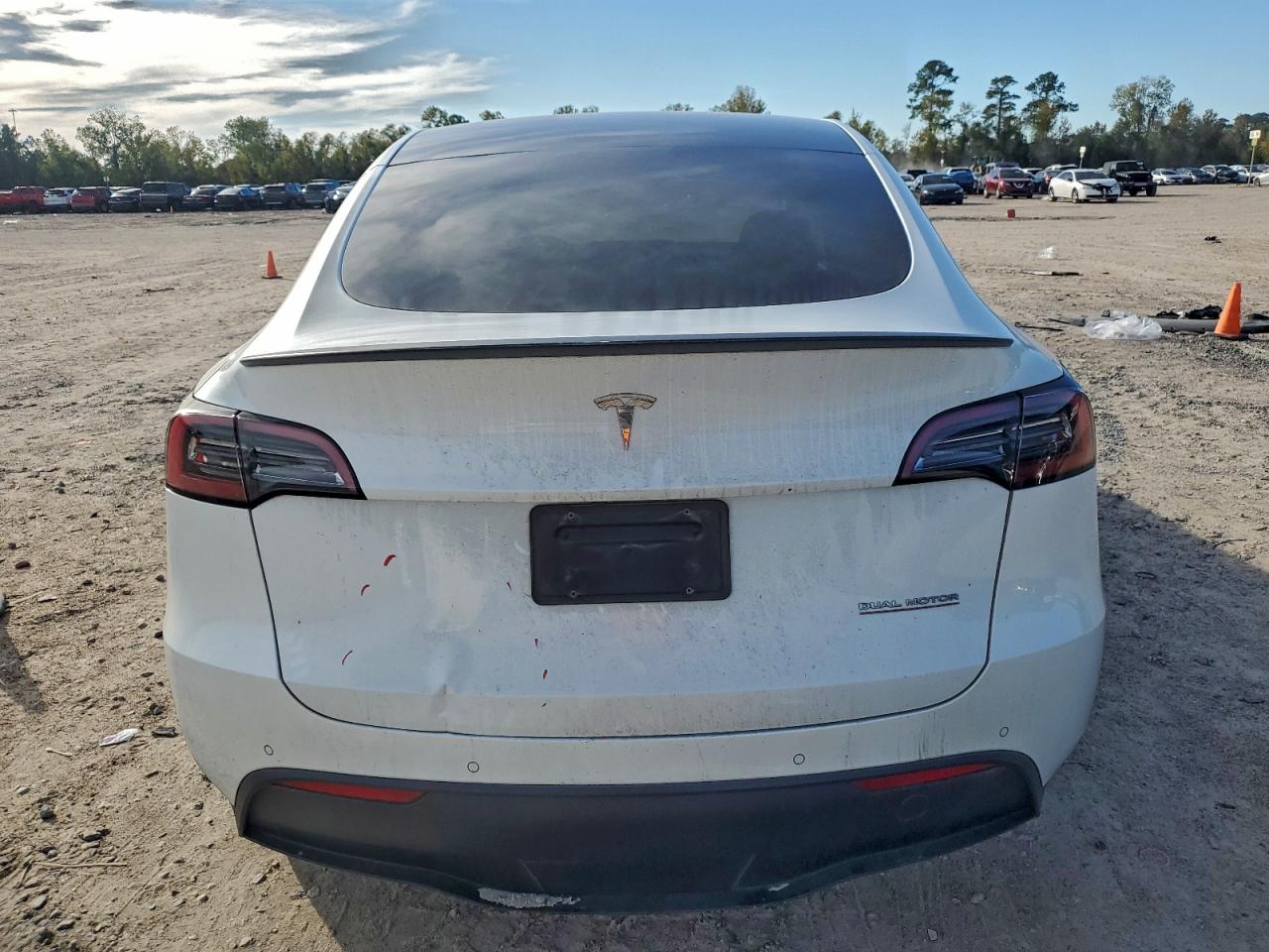 2022 Tesla Model Y VIN: 7SAYGDEF8NF523488 Lot: 94349115