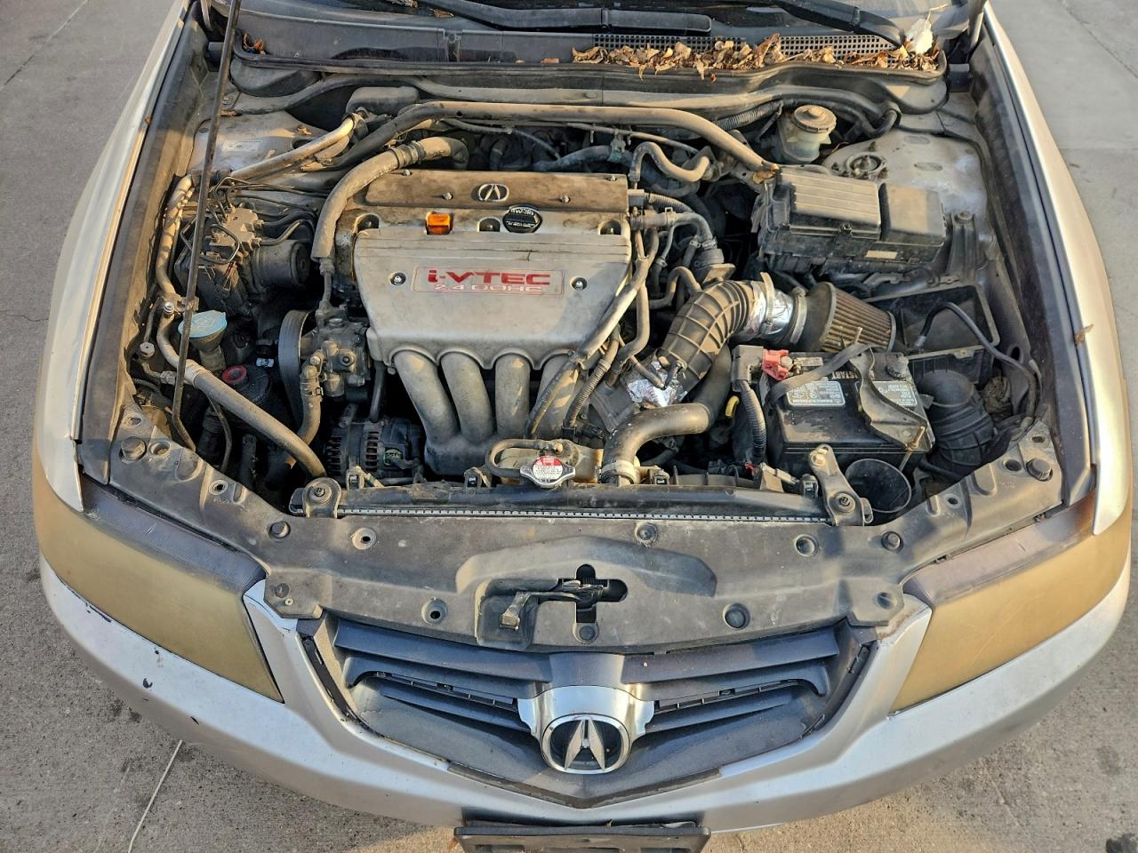 2004 Acura Tsx VIN: JH4CL96874C012123 Lot: 93247435