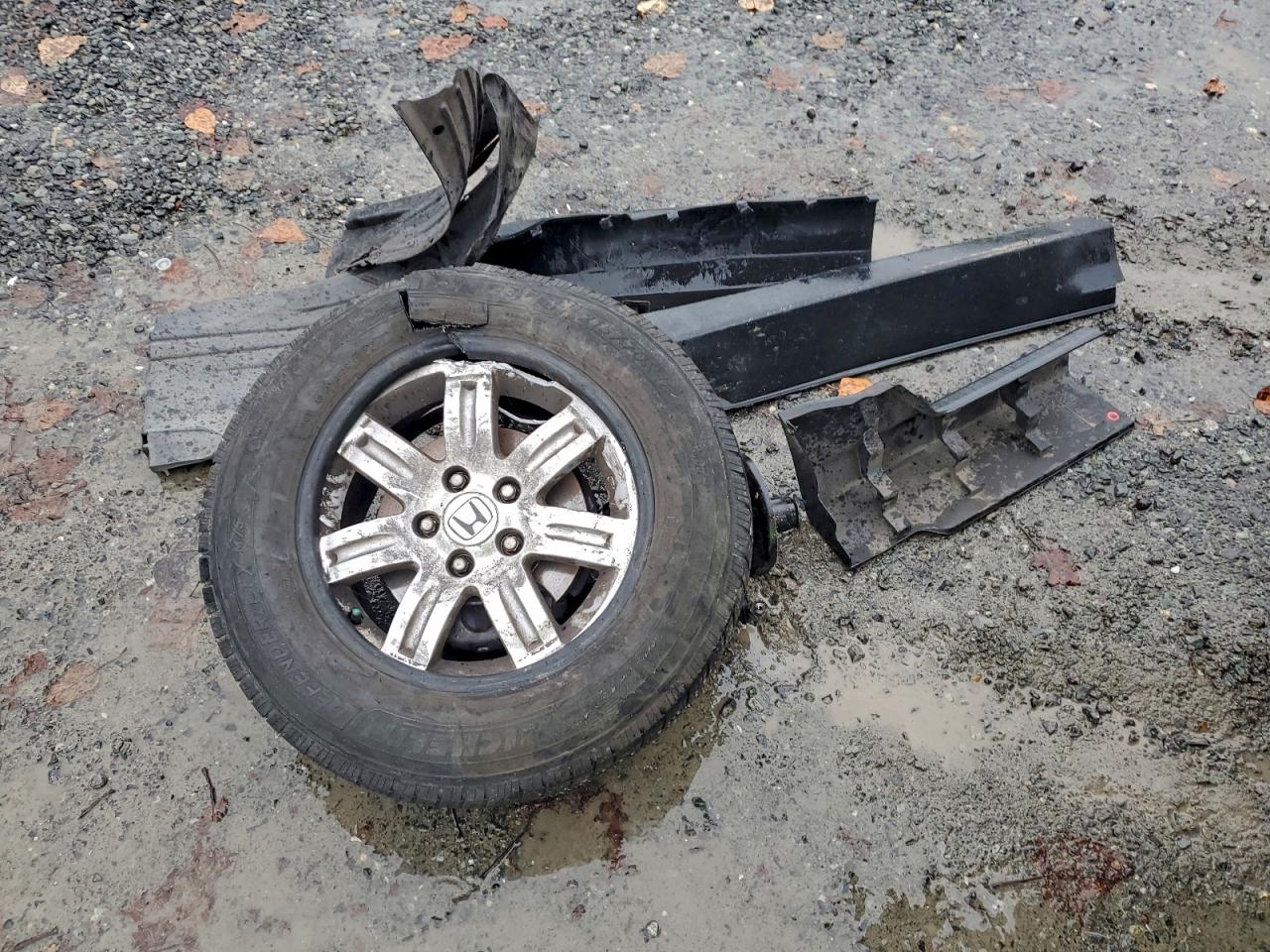 2007 Honda Element Ex VIN: 5J6YH28767L005666 Lot: 93786765