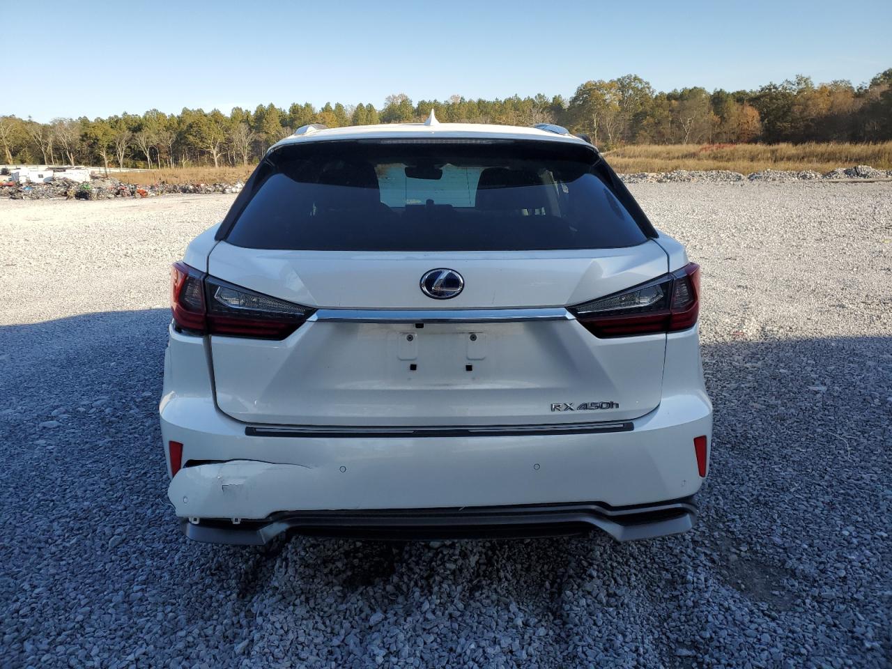 2018 Lexus Rx 450H Base VIN: 2T2BGMCA6JC025438 Lot: 91918835