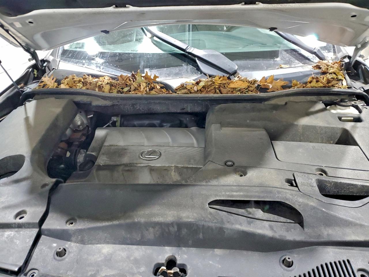 2013 Lexus Rx 350 Base VIN: 2T2BK1BA9DC160089 Lot: 93344655