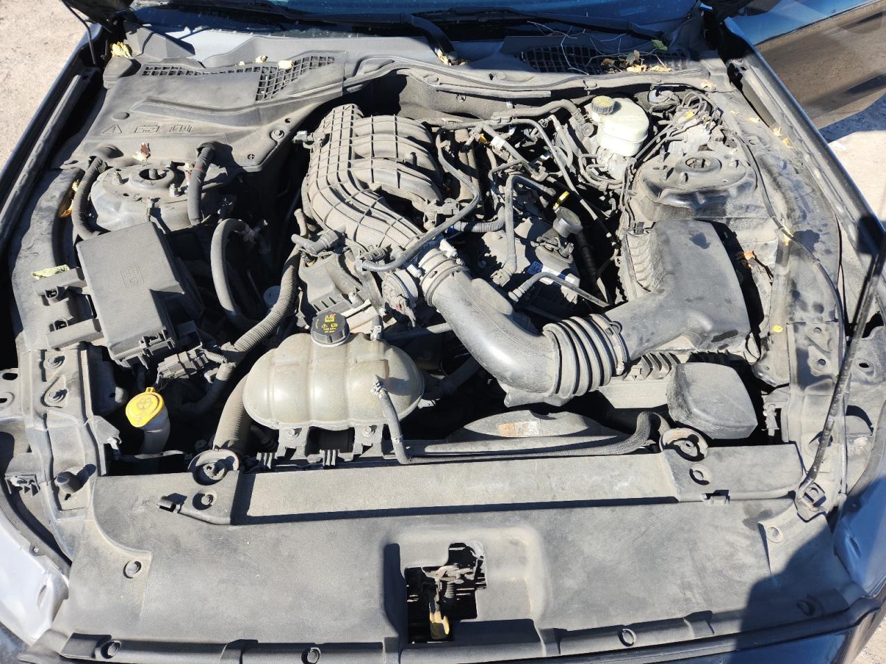 2016 Ford Mustang VIN: 1FA6P8AM0G5302199 Lot: 91233395