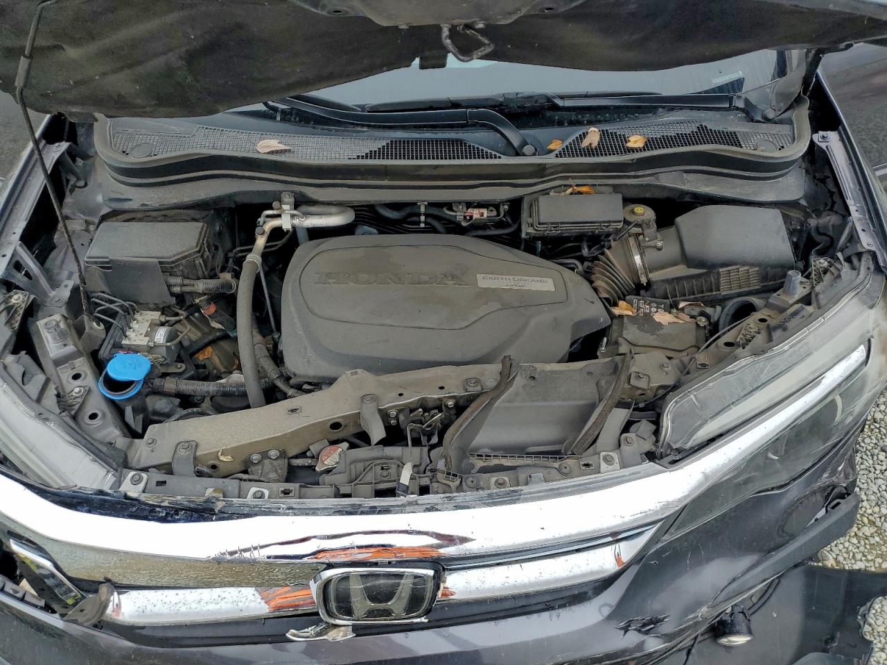 2019 Honda Pilot Ex VIN: 5FNYF5H33KB043409 Lot: 93974665