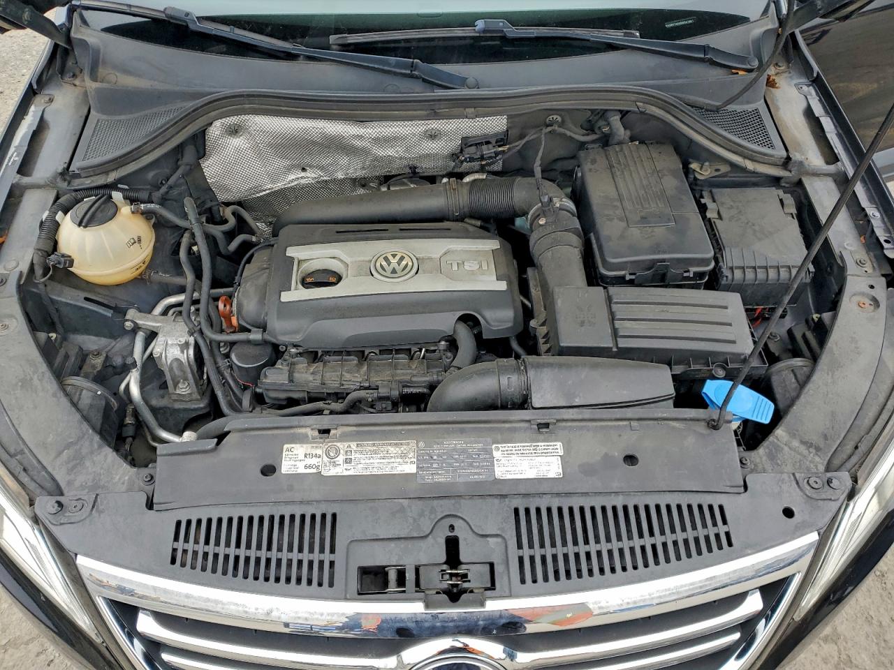 2011 Volkswagen Tiguan S VIN: WVGBV7AX0BW541981 Lot: 93272715