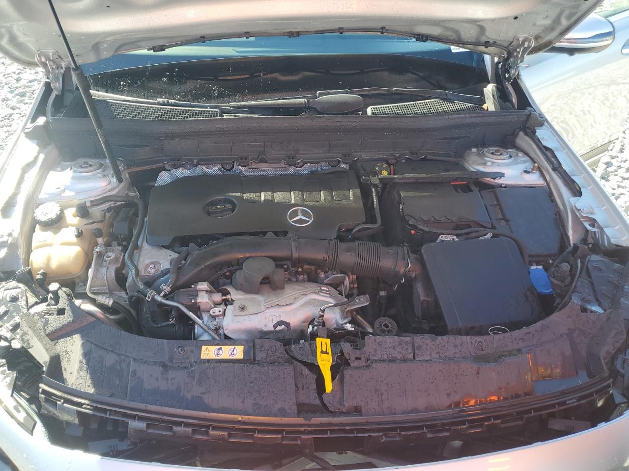 Фото: W1N4M4GB9MW162726