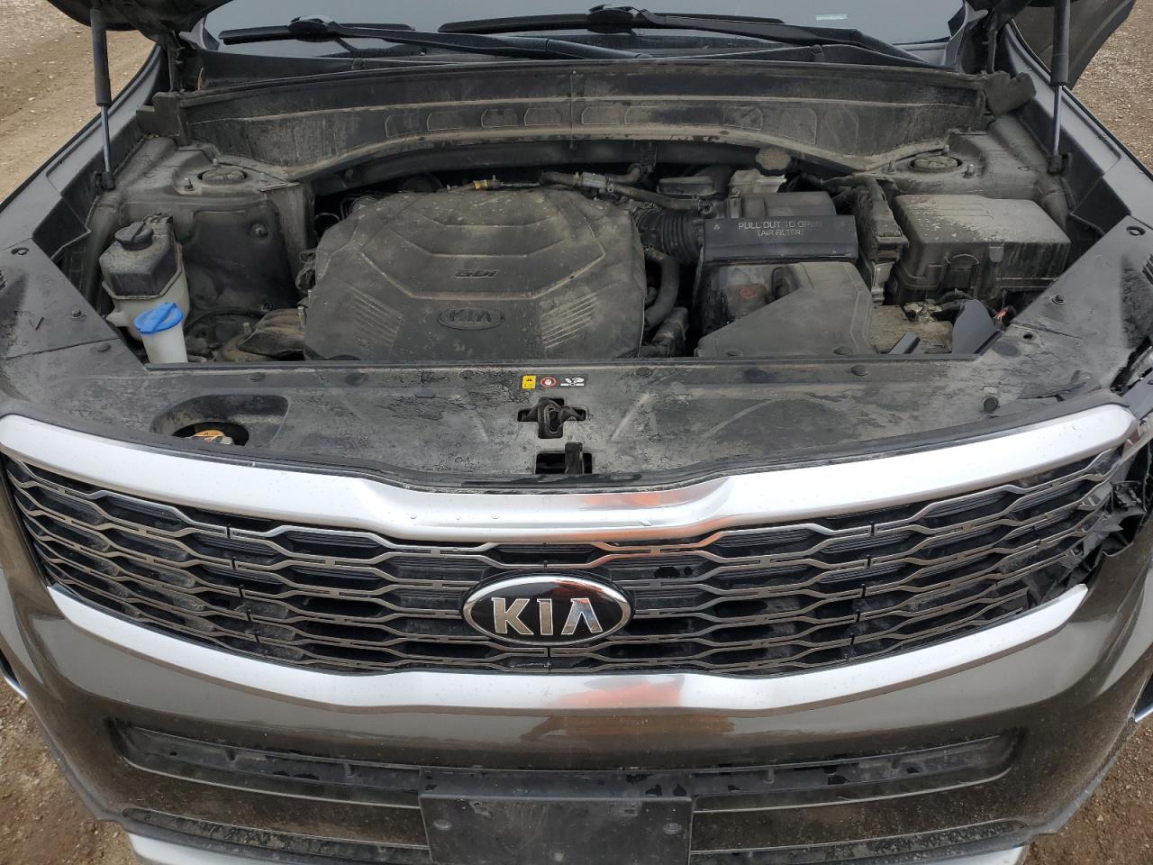 2021 Kia Telluride S VIN: 5XYP6DHC1MG116651 Lot: 93543825