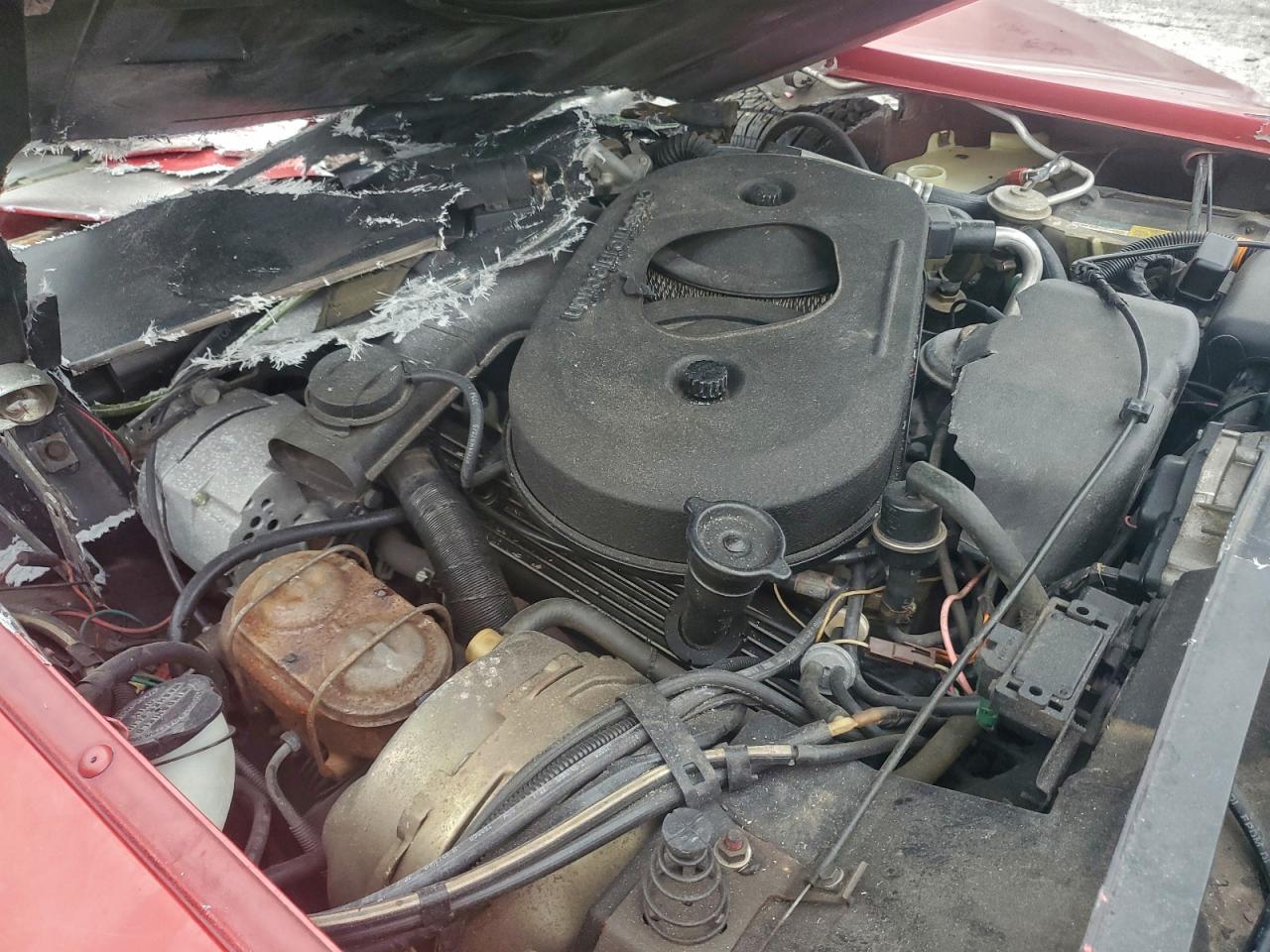 1982 Chevrolet Corvette VIN: 1G1AY8785C5124465 Lot: 93719065