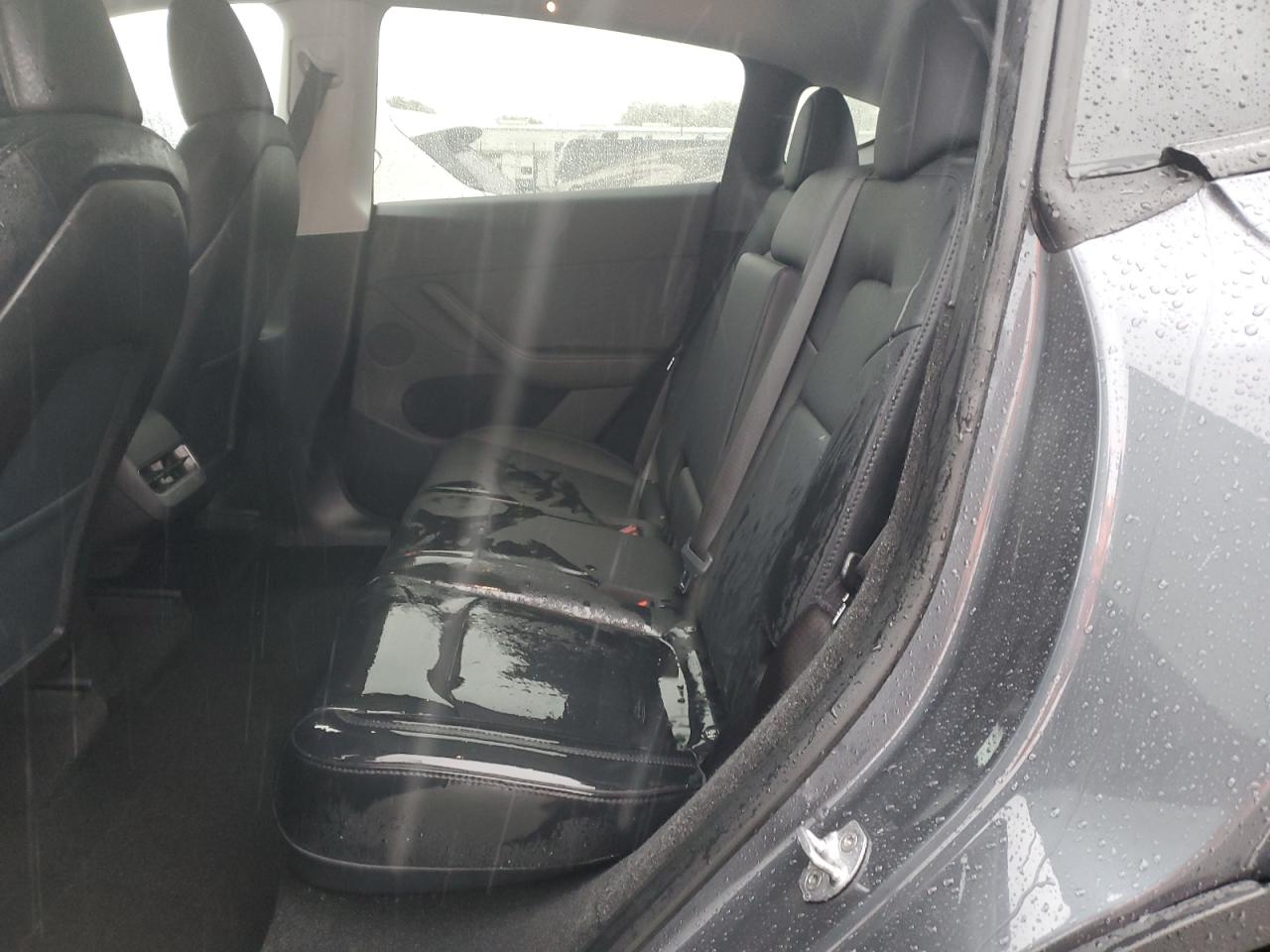 2023 Tesla Model Y VIN: 7SAYGDEE5PA202032 Lot: 92797925