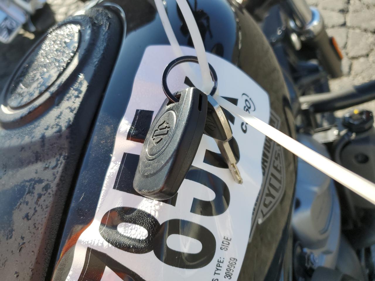 2024 Harley-Davidson Rh975 VIN: 1HD1ZH123RB309969 Lot: 91487855