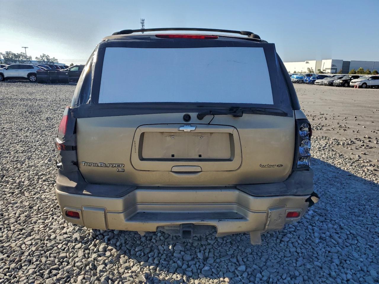 2006 Chevrolet Trailblazer Ls VIN: 1GNDS13S562318313 Lot: 93919005