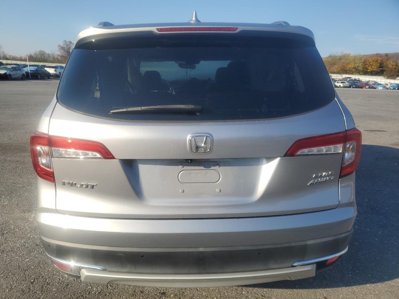 2019 Honda Pilot Elite VIN: 5FNYF6H07KB088428 Lot: 90821095